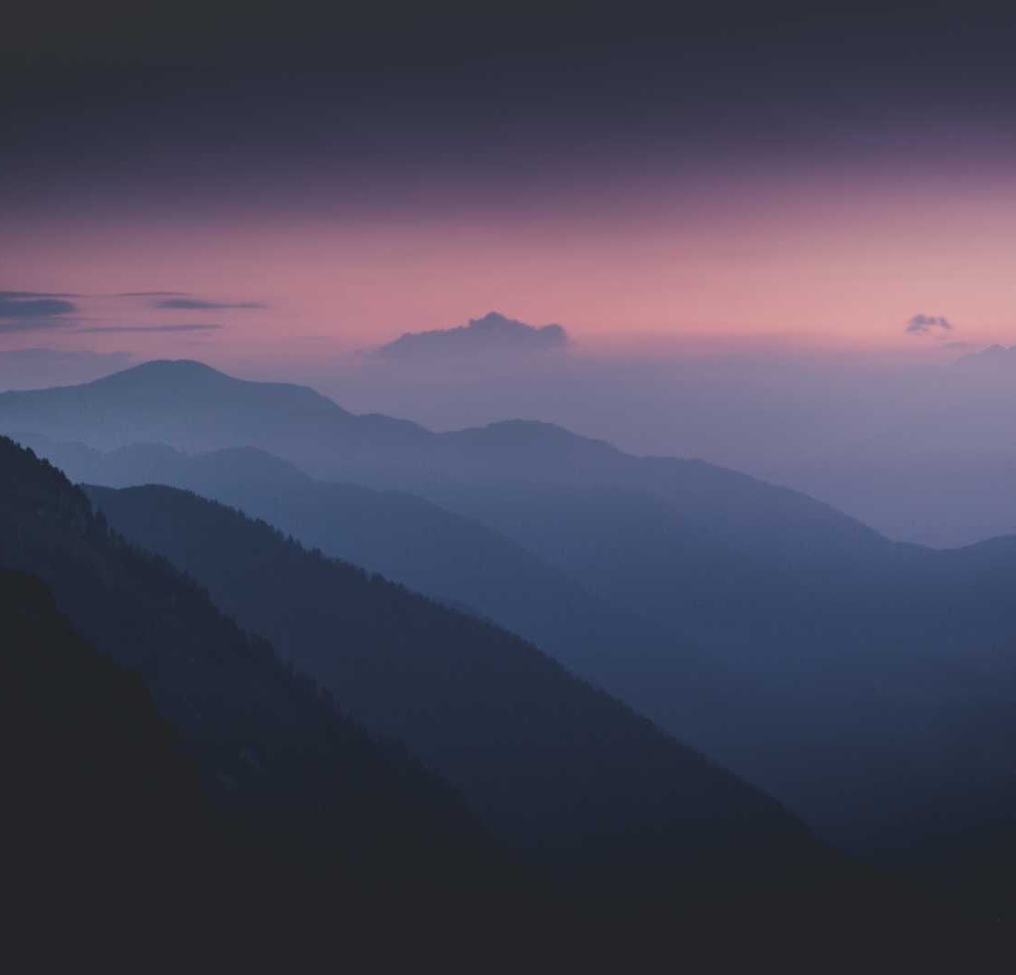 Manfaat Teh bagi Tubuh